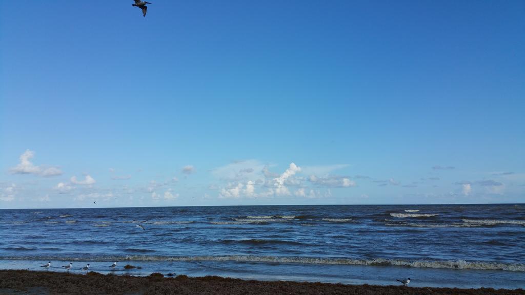 Private Beach -- Away From The Crowds - Ocean Views -Short Drive To Moody Gardens, Schlitter Bahn, Pleasure Pier Galveston Dış mekan fotoğraf