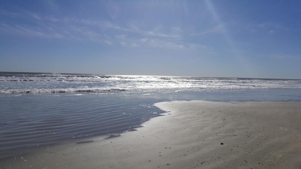 Private Beach -- Away From The Crowds - Ocean Views -Short Drive To Moody Gardens, Schlitter Bahn, Pleasure Pier Galveston Dış mekan fotoğraf